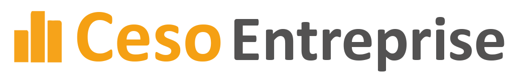 Ceso Entreprise